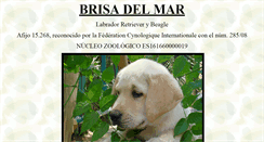 Desktop Screenshot of brisadelmar.es